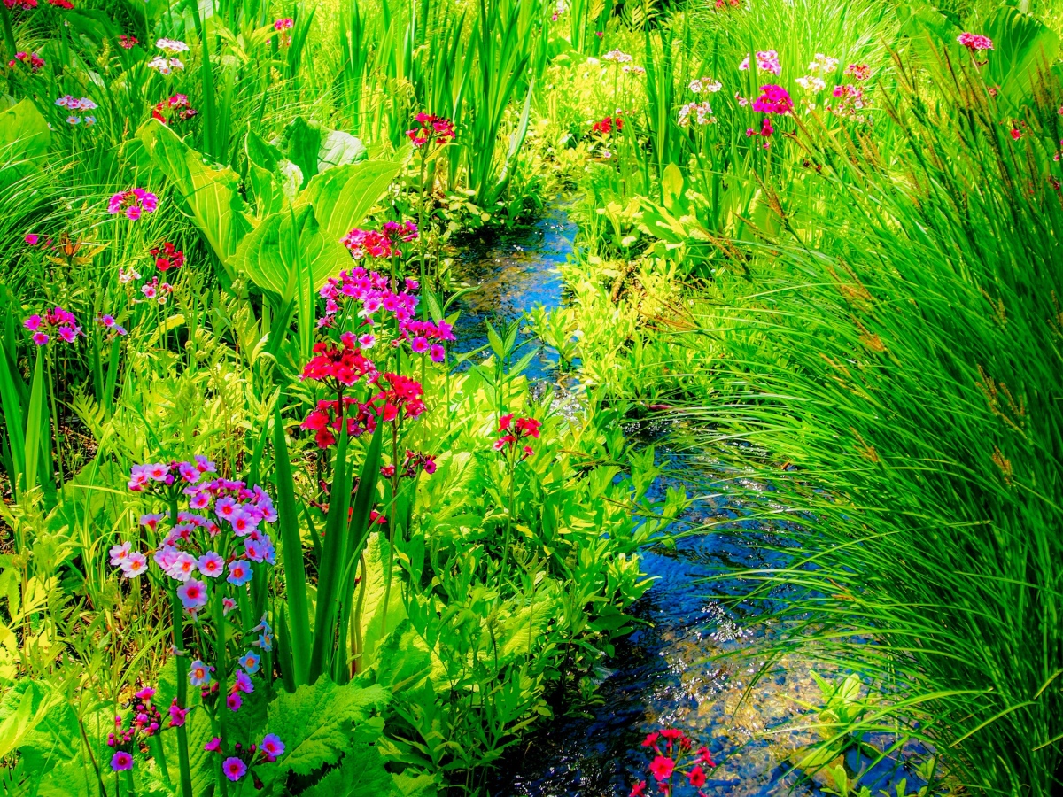 NY: Dutchess County- Millbrook- Innesfree Garden